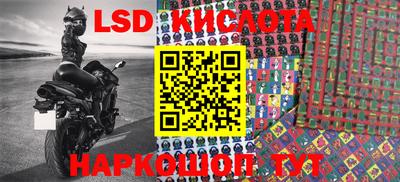 прущие крисы Моздок