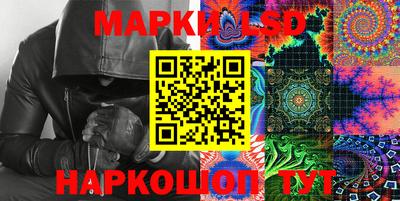 прущие крисы Моздок