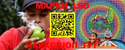прущие крисы Моздок