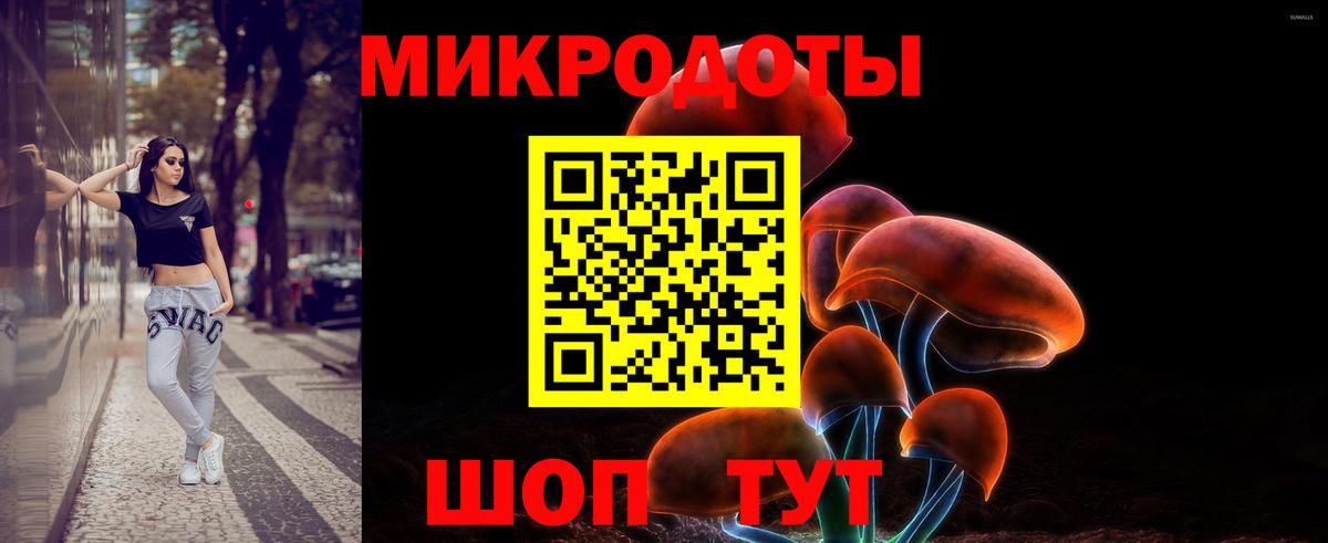 Псилоцибиновые грибы GOLDEN TEACHER  купить наркоту  Ангарск  Вход с VPN 